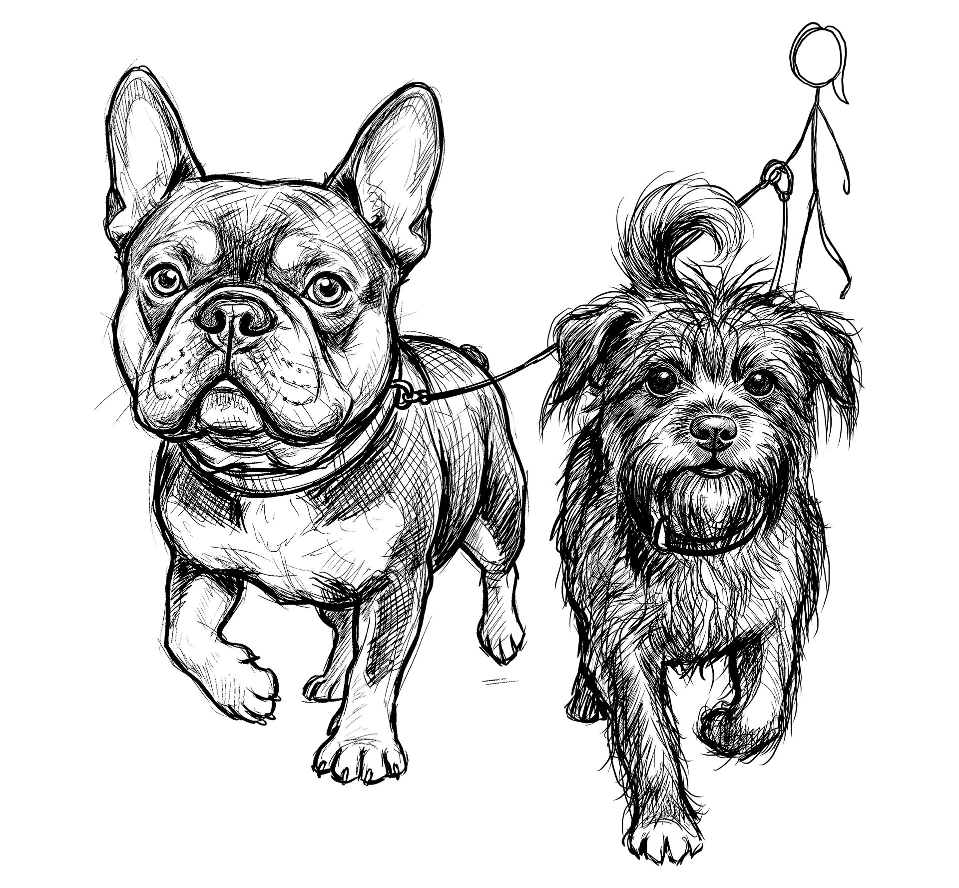 Daily Wags LLC logo