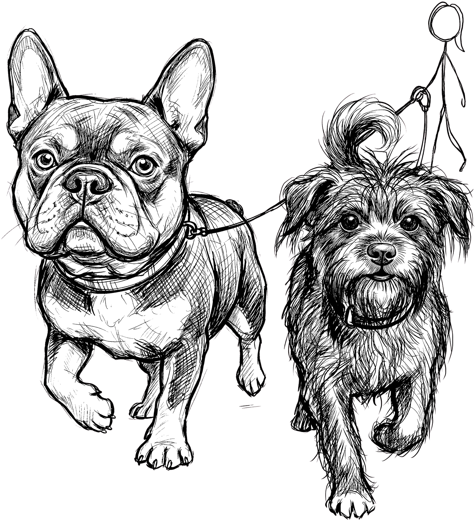 Daily Wags LLC logo